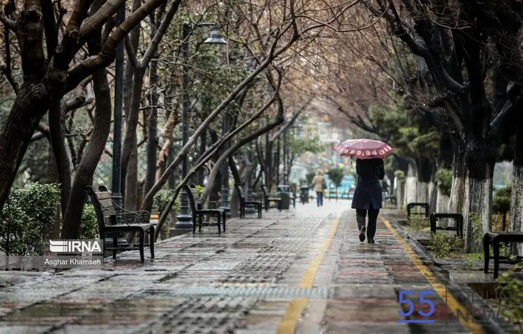 هشدار نارنجی برای شمال کشور؛ رگبار و وزش باد شدید