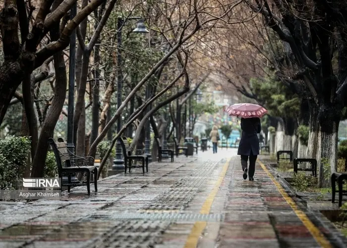 هشدار نارنجی برای شمال کشور؛ رگبار و وزش باد شدید