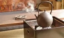 دی‌ان‌ای صدها گونه حشره در چای شما وجود دارد  | عجیب اما واقعی 