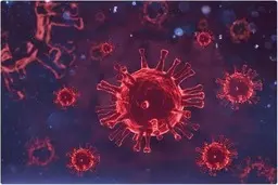 تست‌های PCR ملاک کافی برای اثبات ابتلا اُمیکرون نیست 