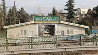 چرا دولت در پی انحلال سازمان منابع طبیعی است؟ | ناامنی زیستی