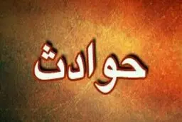 حوادث  |   قتل مادر بزرگ برای دستیابی به قالیچه400میلیونی