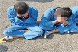 به نام رمزارزها، به کام کلاهبردارها