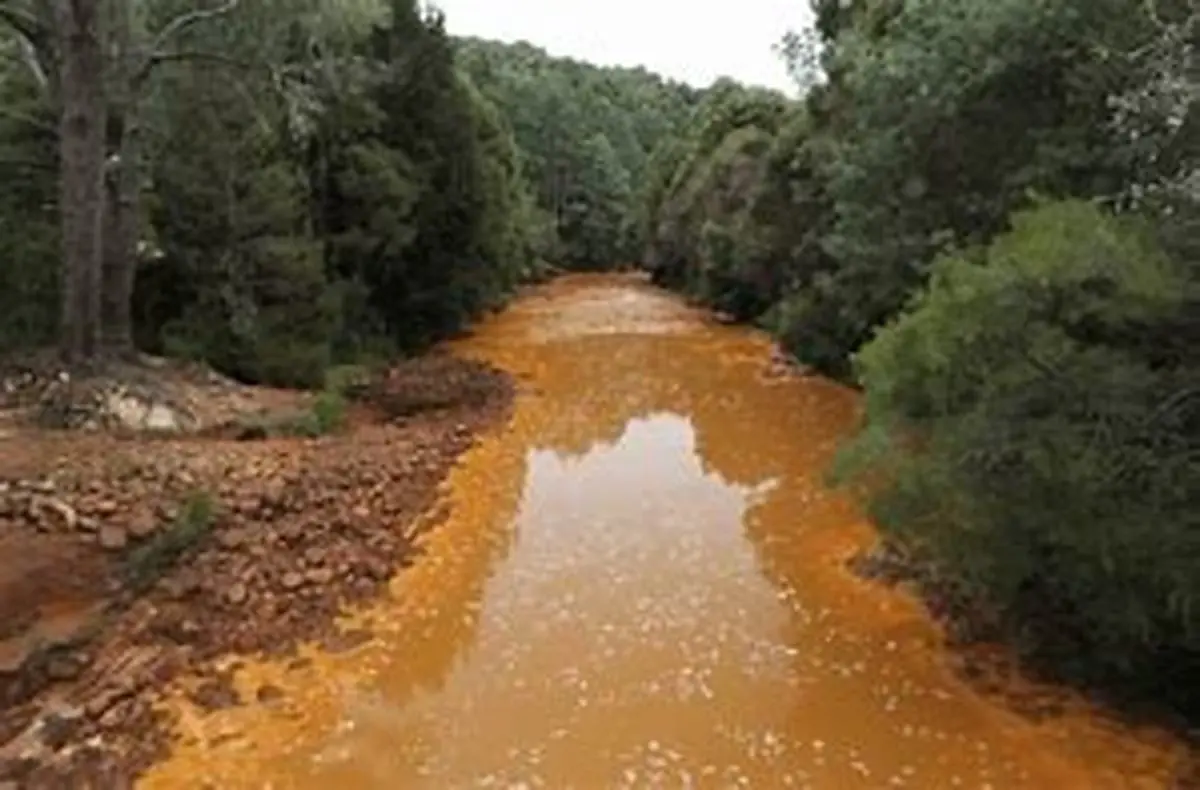 به هیچ عنوان از آب رودخانه برای آشامیدن استفاده نکنید! | آب تنی توی رودخانه های آلوده ممنوع! ببینید چقدر آب رودخانه ها آلوده هستند +ویدئو