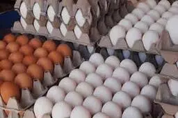 
 قیمت تخم مرغ  شانه ای ۳۰هزارتومان درسوپرمارکت ها به فروش میرسد
