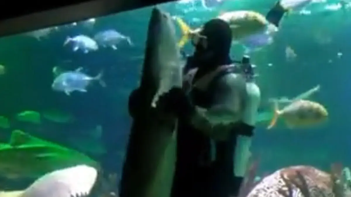 رقص دو نفره عجیب  غواص و کوسه ماهی در اعماق دریا!+ویدئو