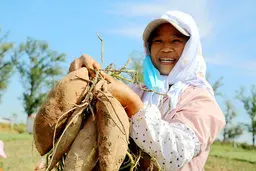 چین در اجرای کمپین بی‌سابقه فقرزدایی تسلیم کرونا نشد