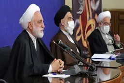 ماجرای یک اتفاق در وزارت جهاد کشاورزی: کاشت ۲۰ هزار هکتار نهال زیتون معیوب