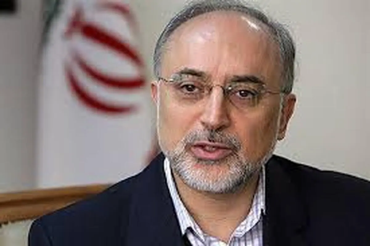 هواپیمای اوکراینی |  علی اکبر صالحی تسلیت گفت