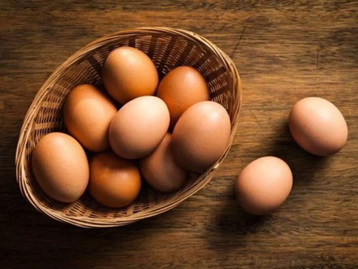 روز جهانی تخم مرغ مبارک! 