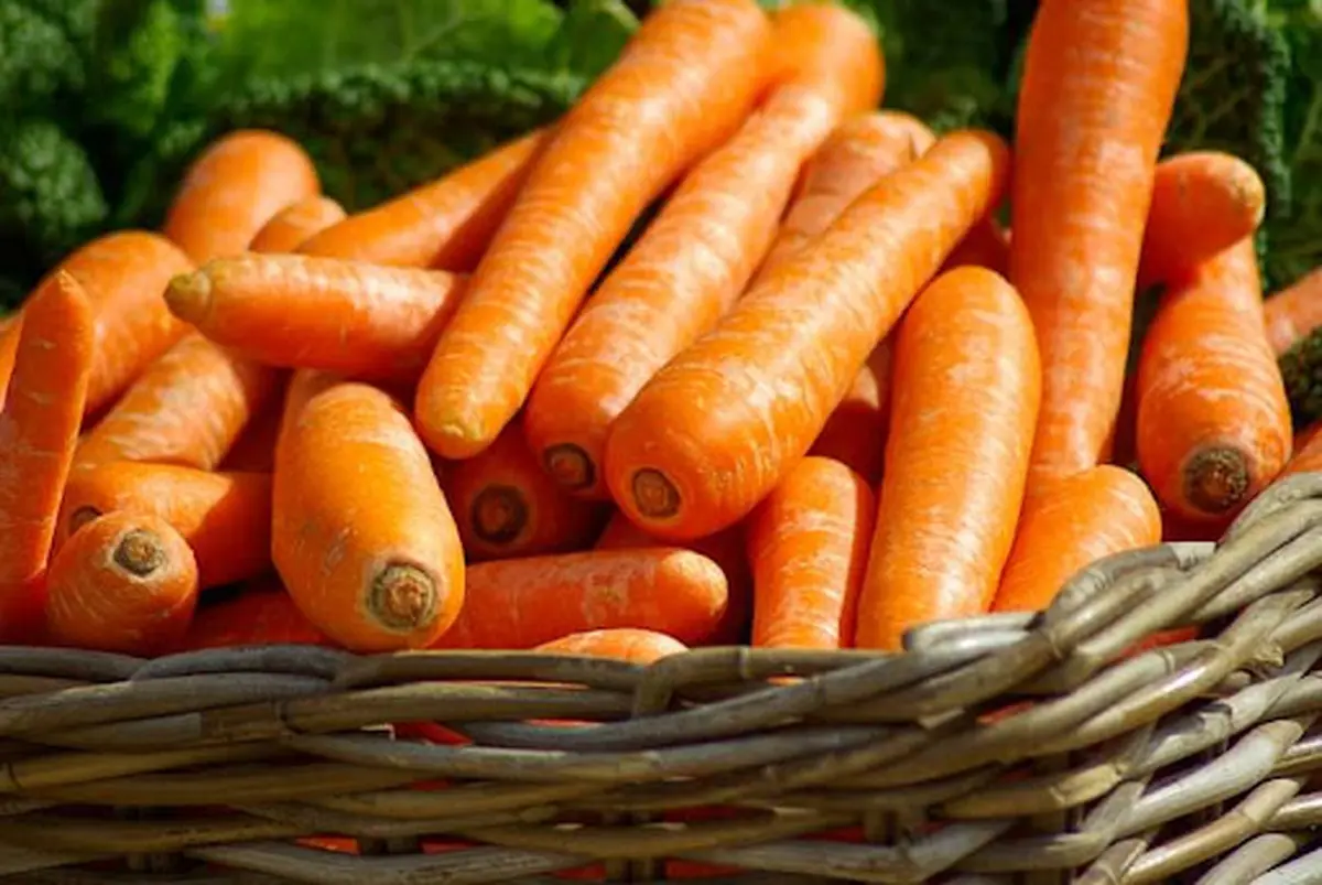 آیا خوردن بیش از حد هویج باعث می‌شود پوستتان نارنجی شود؟