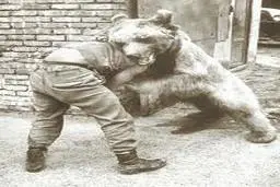 ‏دستکشی به شکل پنجه خرس متعلق به جنگجوی ایرانی+تصویر 