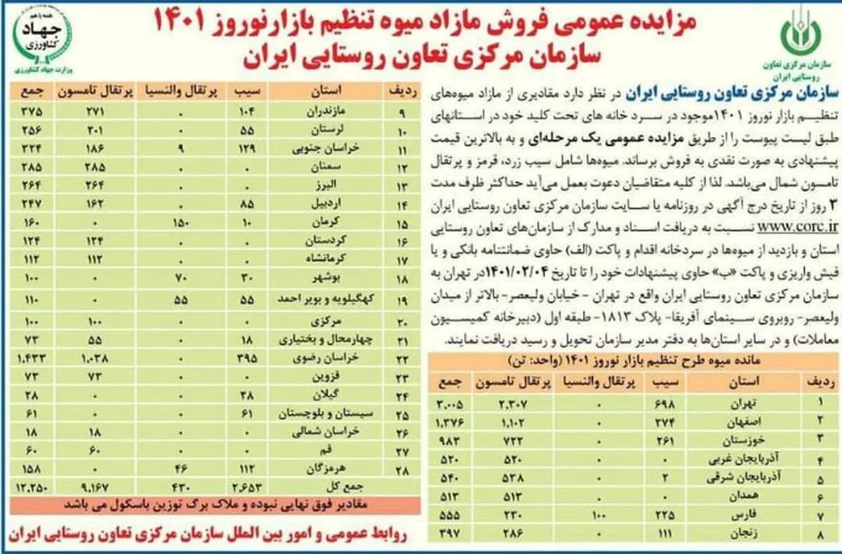 دیوانه خانه یا اقتصاد نئولیبرال؟