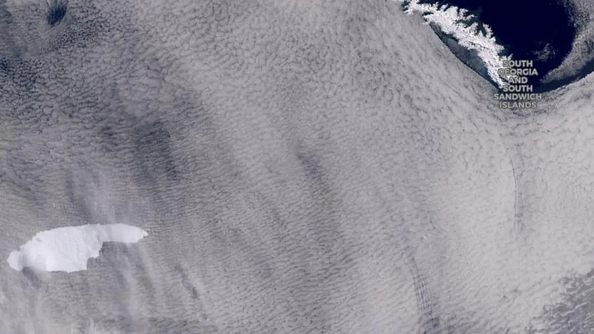 یک کوه یخ به بزرگی کشور لوکزامبورگ حیات وحش در جزیره جورجیای جنوبی را تهدید می کند