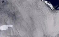 یک کوه یخ به بزرگی کشور لوکزامبورگ حیات وحش در جزیره جورجیای جنوبی را تهدید می کند