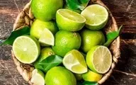 خودت توی خونه بی دردسر لیمو بکار! | آموزش کاشت لیمو +ویدئو