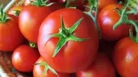 کاهش شدید قیمت گوجه فرنگی دربازار+جدول