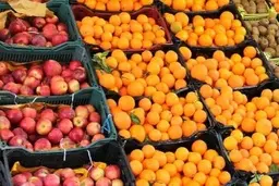 
5 هزار تن میوه روی دست بارفروشان مانده
