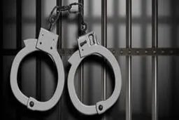 بازداشت ۵۸ نفر اخلالگر نظام سلامت و بازار ارز