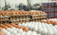  قیمت جدید  تخم مرغ دربازار اعلام شد 