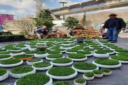 حال و هوای خیابان‌های تهران، در آستانه‌ی نوروز+ویدئو
