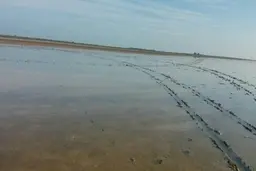  فرونشست  |  کاهش سالیانه ۱۰ سانتی‌متری تراز آب در خزر