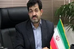 مدیرکل امور اقتصاد و دارایی استان کرمان بازداشت شد
