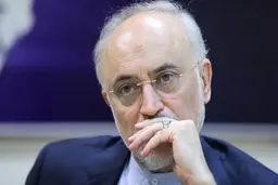 صوفی، فعال اصلاح‌طلب: حمایت اصلاح‌طلبان از علی اکبر صالحی دور از ذهن نیست