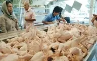 واردات مرغ از ترکیه یا برزیل| مرغ نخرید تا بازار تنظیم شود!