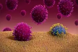 بقای ویروس کرونا در محیط‌های آبی با دمای پایین، نسبتا زیاد است 