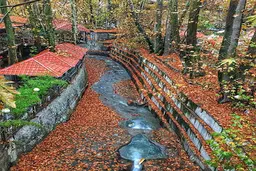 دلبری پاییز در درکه+ عکس