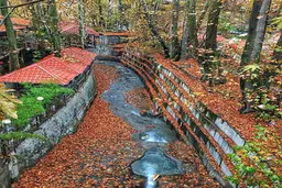 دلبری پاییز در درکه+ عکس