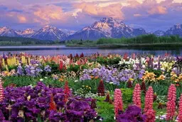 شهرهای دیدنی گردشگری ایران در فصل بهار + آدرس