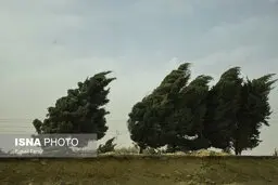 خلیج فارس طی سه روز آینده مواج خواهد بود