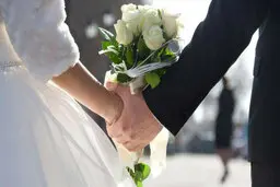 عقدهای آریایی با جهت‌گیری بهائیت رواج یافته؛ پرونده ۲۵ موسسه و تالار عروسی مفتوح است