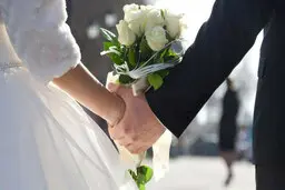 عقدهای آریایی با جهت‌گیری بهائیت رواج یافته؛ پرونده ۲۵ موسسه و تالار عروسی مفتوح است