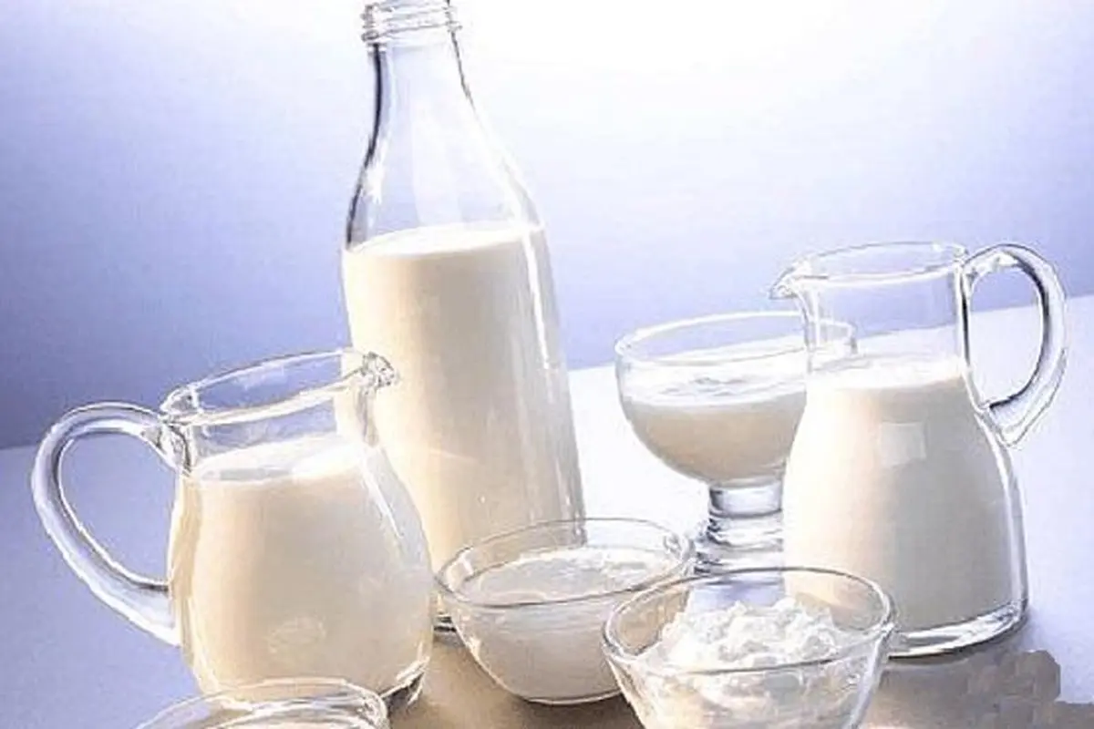  شیر را با شکر مخلوط نکنید | خطرات مخلوط کردن  شیر با شکر 