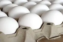 قیمت جدید تخم مرغ اعلام شد | گرانتر از این نخرید