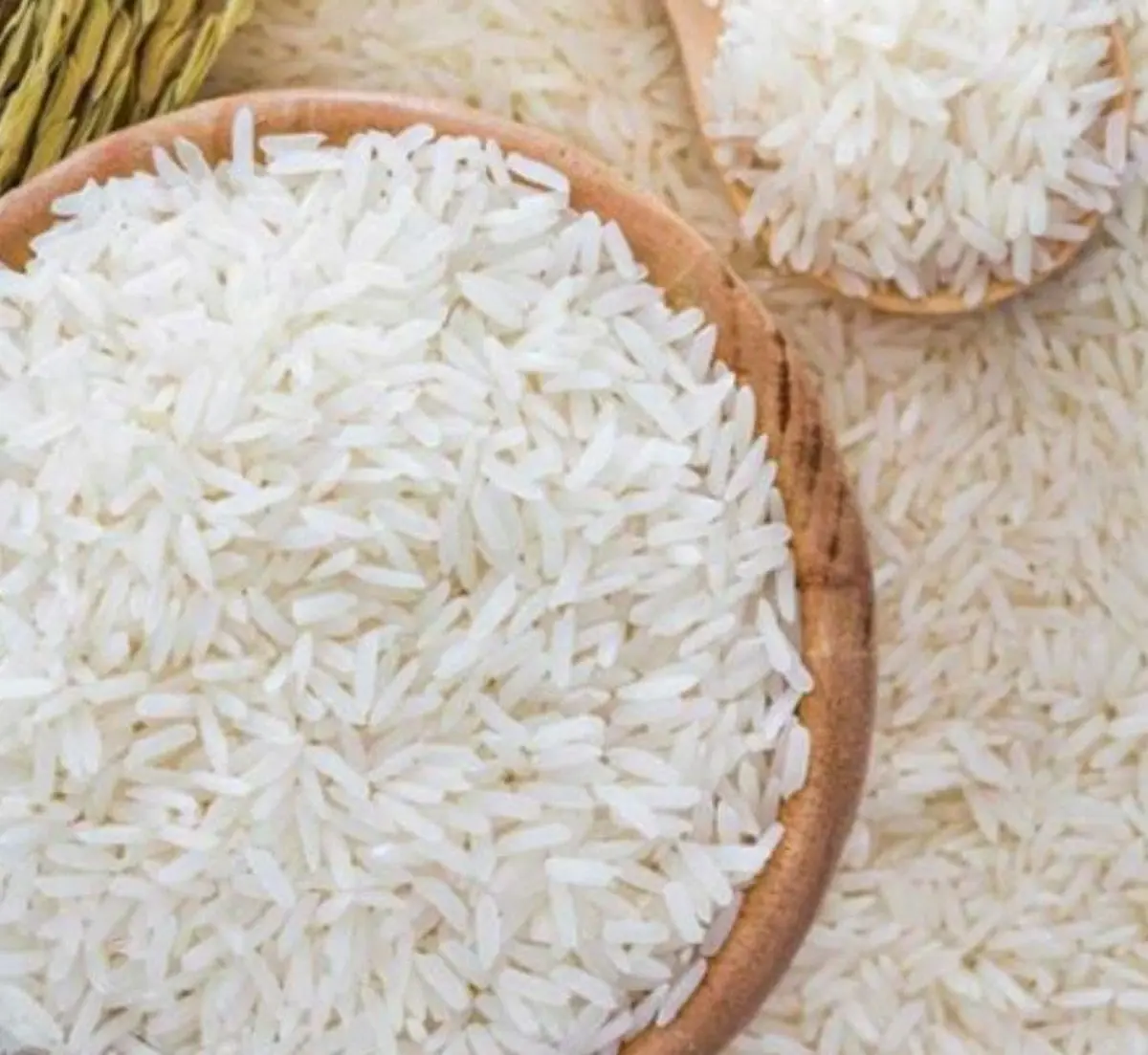 قیمت سه کالای اساسی افزاش یافت | پرواز قیمت برنج و مرغ