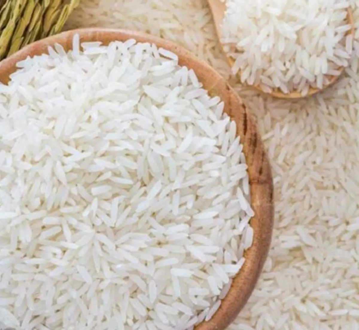 قیمت سه کالای اساسی افزاش یافت | پرواز قیمت برنج و مرغ