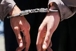 
دستگیری دومین عامل شهادت محیط بانان زنجانی
