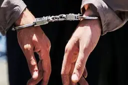 
دستگیری دومین عامل شهادت محیط بانان زنجانی
