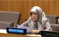 درخواست نماینده ایران از سازمان ملل درباره اسرائیل 