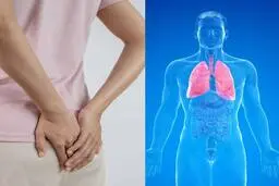 تنفس از مقعد! | کشف عجیب علمی: راهی تازه برای رساندن اکسیژن به بدن