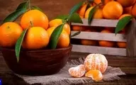 این افراد به هیچ عنوان پرتقال نخورند! | خوردن پرتقال برای این افراد ممنوع!