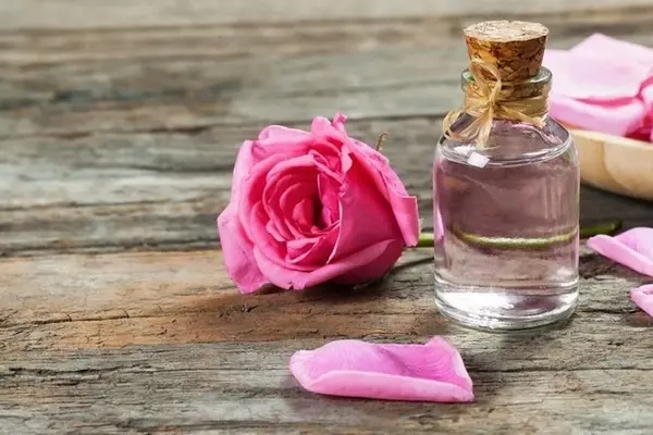 یک قطره گلاب، یک دنیا خاصیت | از آرام کردن اعصاب گرفته تا شفافیت پوست | معرفی خواص گلاب +ویدئو
