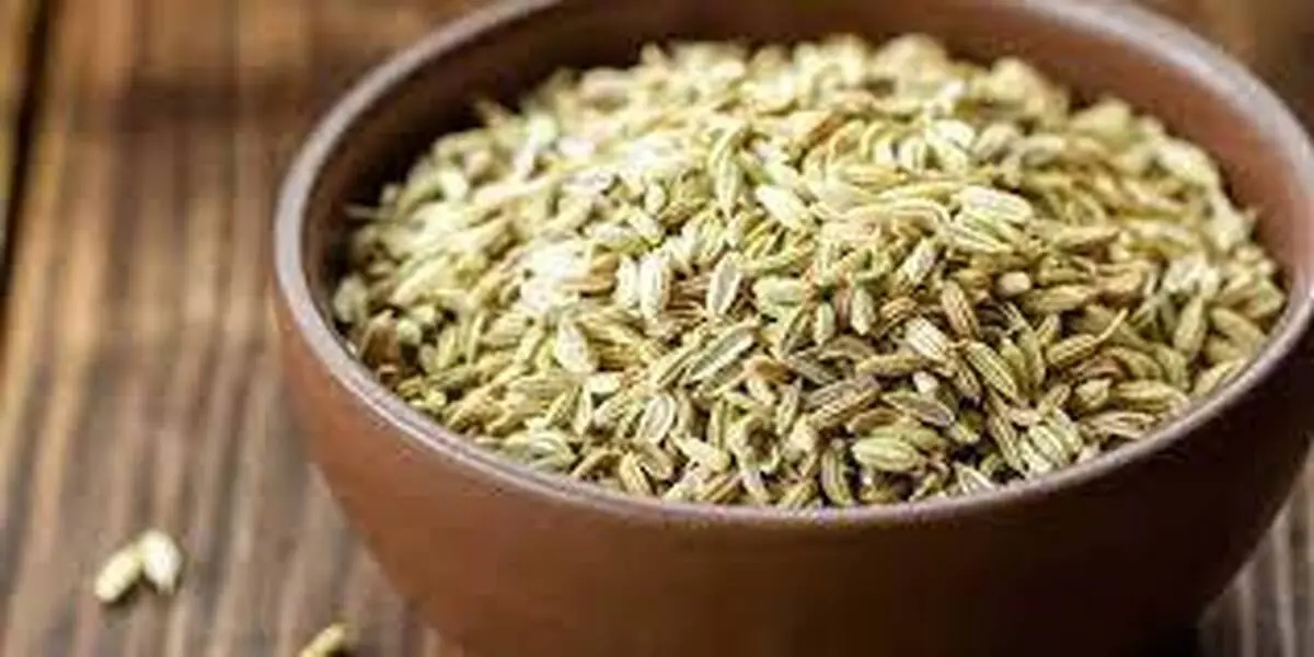 میخوای از شر سلولیت راحت بشی؟ | خواص رازیانه برای پوست