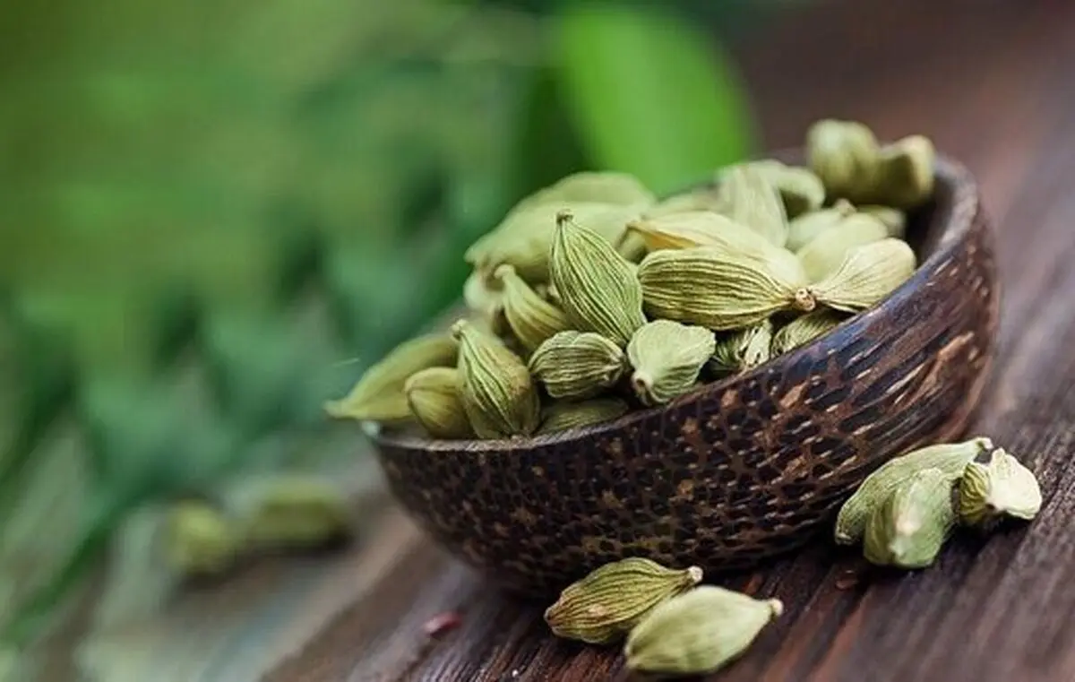 چگونه از بروز سرطان جلوگیری کنیم؟ | معرفی خواص هل در طب سنتی