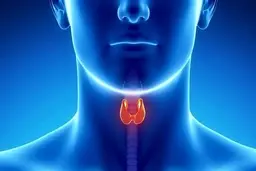علائم اولیه کم‌کاری تیروئید و داروهای مؤثر در درمان