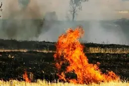 وقوع بی‌سابقه 15 مورد آتش‌سوزی در ورامین در 48 ساعت 